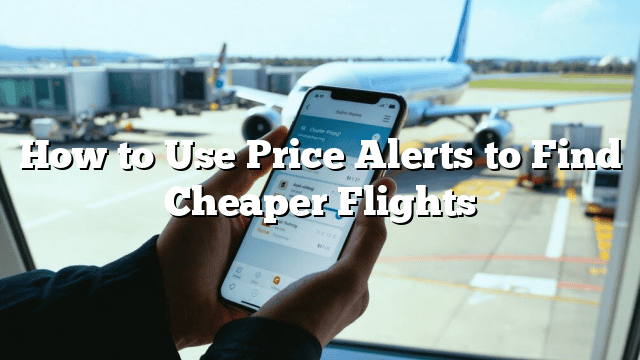 How to Use Price Alerts to Find Cheaper Flights